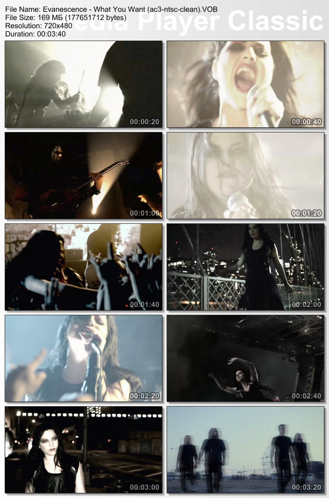 Evanescence What You Want ac3ntscclean Source DVD