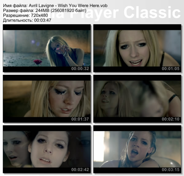 Avril Lavigne Wish You Were Here Posted Image Avril Lavigne Smile